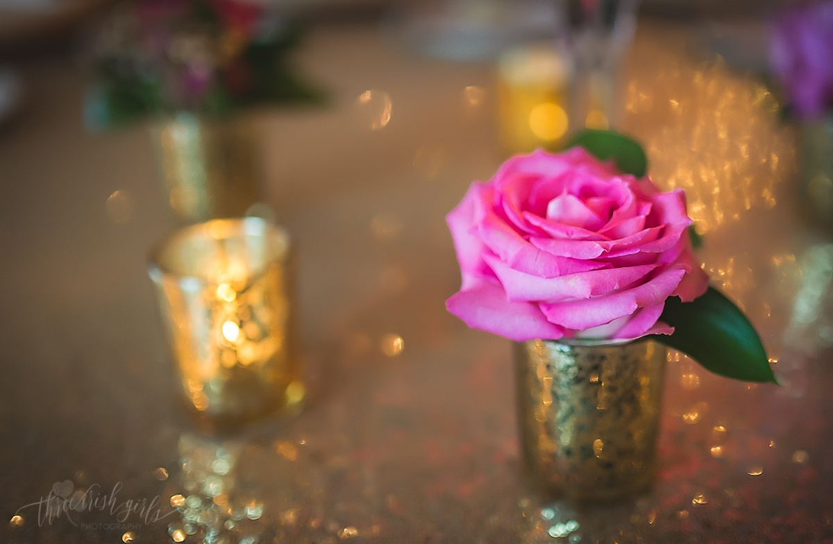 duluth mn wedding photographer greysolon-43