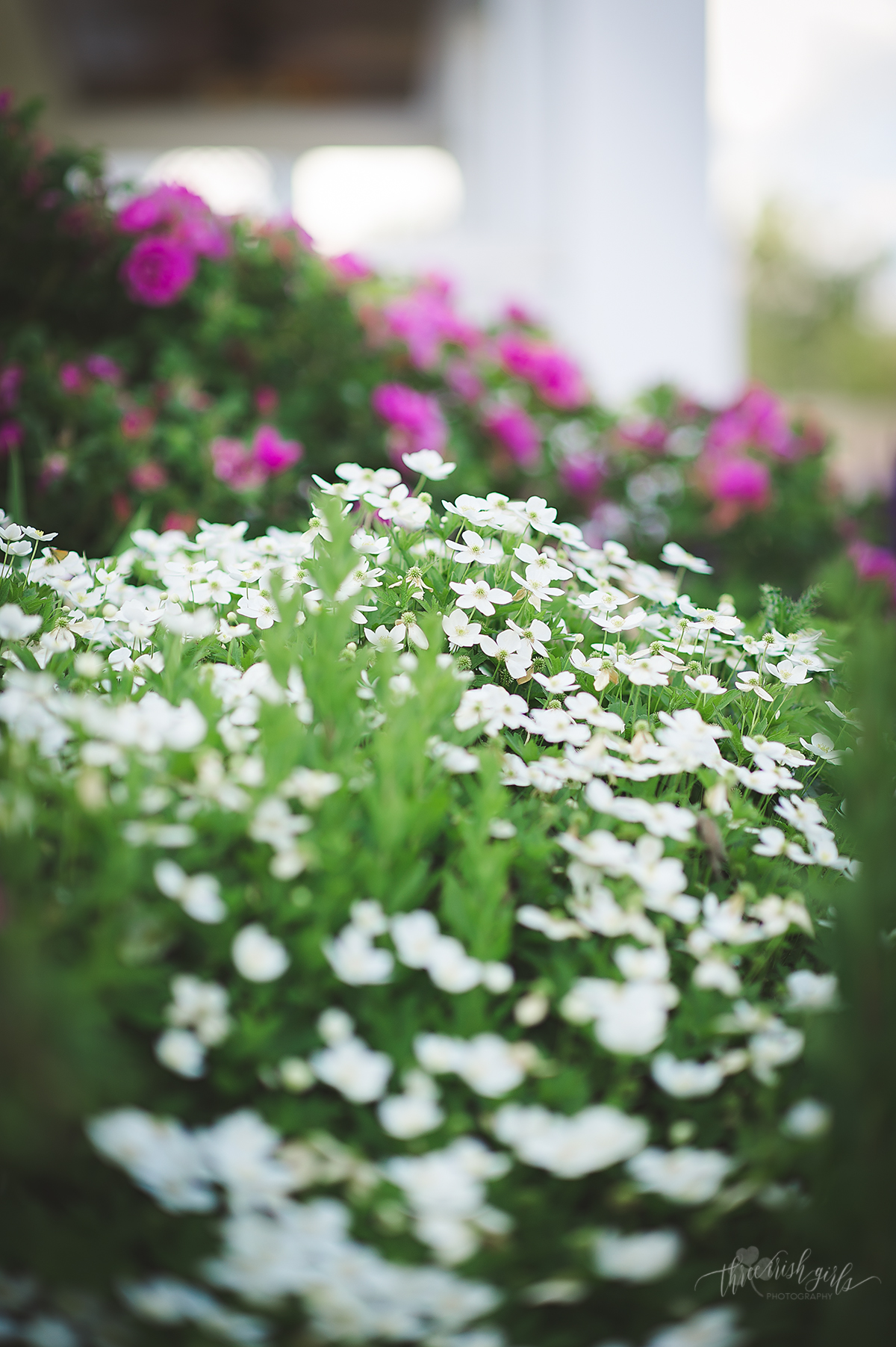 northland-country-club-wedding-duluth