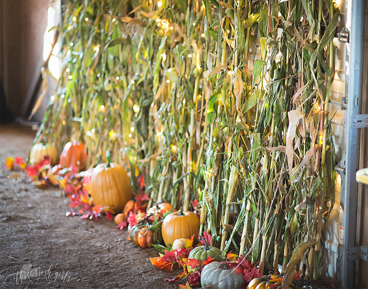 barn-weddings-duluth-mn-28